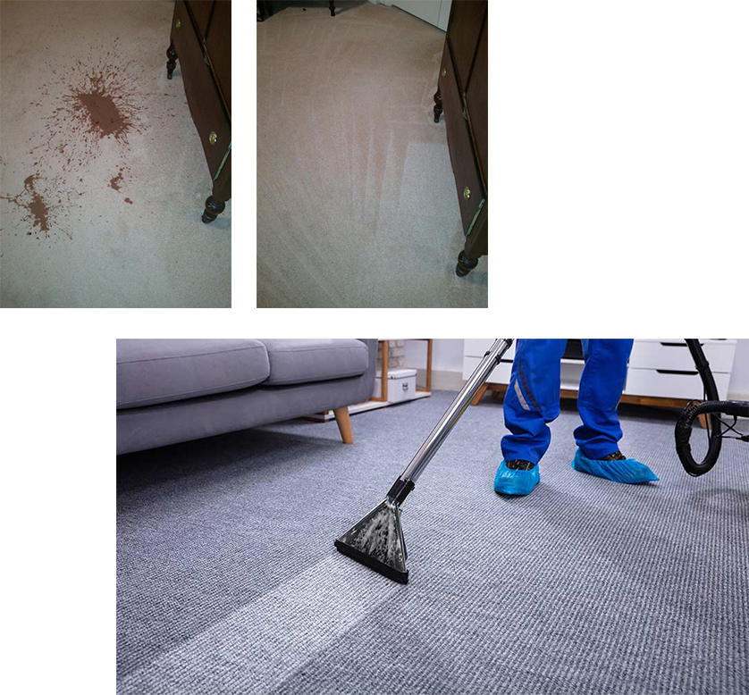 Steam Clean Service TX - Before and after
